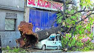 Un total de 17 personas mueren por un temporal en Argentina
