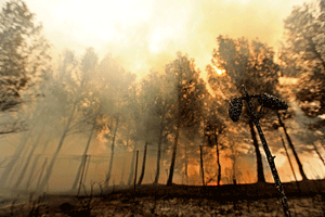Espa&ntildea sufre de los incendios debido a condiciones meteorol&oacutegicas