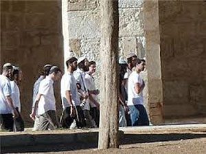 Un joven palestino agredido por un grupo de colonos israel&iacutees