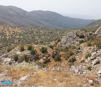 Los israel&iacutees toman posiciones junto a la “l&iacutenea azul”