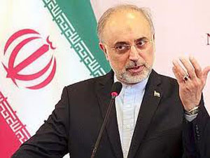 Salehi: debemos resolver la crisis en Siria a través de la diplomacia