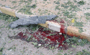 Tres violentas explosiones terroristas sacuden la plaza de Saad Allah al-Yabiri en Alepo