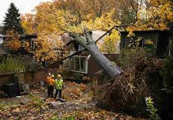 El rastro de muerte y destrucción de Sandy