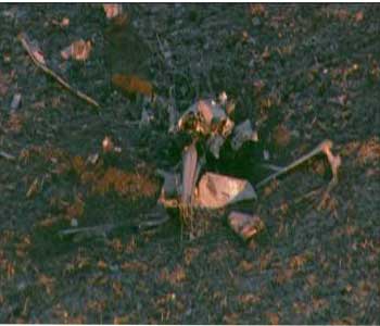 Ca&iacuteda de un helic&oacuteptero en EEUU en el estado de Illinois