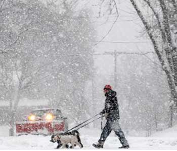 M&aacutes muertos y vuelos anulados a ra&iacutez de la tormenta por el noreste de EEUU