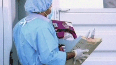 Irán lanza un chimpancé al espacio exitosamente