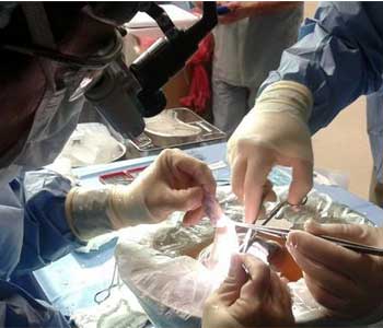 Nuevo esc&aacutendalo en Alemania