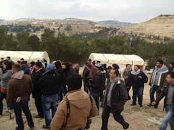 Palestinos reconquistan tierras ocupadas