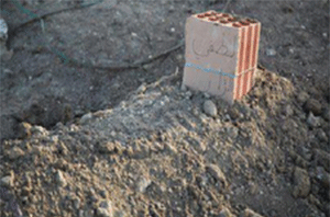 Sacrificó su vida para cumplir con su deber nacional