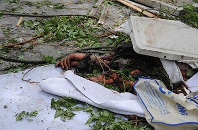 Los terroristas se empeñan en destruir la capital siria