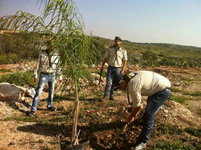 Los palestinos conmemoran el Día de la Tierra Palestina