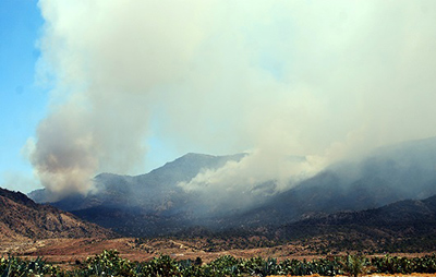 Una operación militar de gran envergadura en Túnez