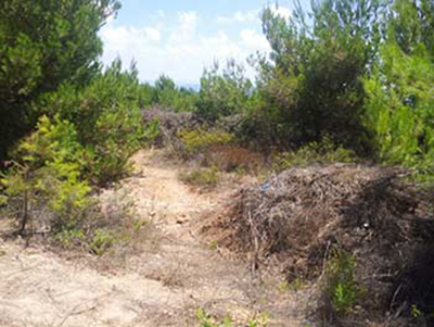 Cuatro soldados israelíes heridos por una mina en la frontera con Líbano