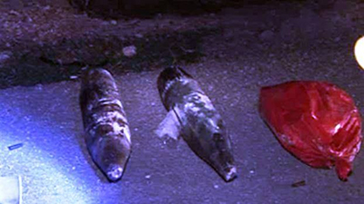 Desactivada una bomba de 500 kilos de explosivos