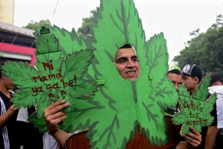 Uruguay legaliza la marihuana y la gestión pública de su venta