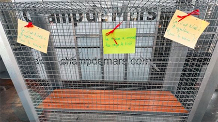 Más de 140 mil personas viven sin techo en Francia