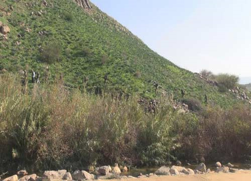 Incursión sionista en el sur de Líbano