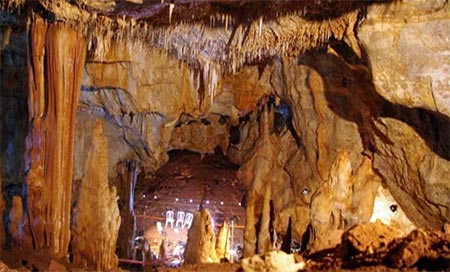 Hallan la fósil del primer “homo”