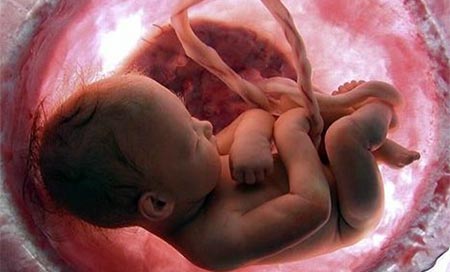 Científicos logran por primera vez modificar el ADN de un embrión