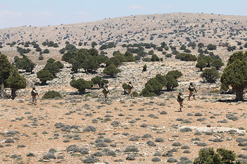 Hezbolá organiza una gira informativa en Qalamun