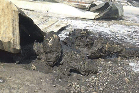 Masacre estilo Daesh en una instalación petrolera en Yemen