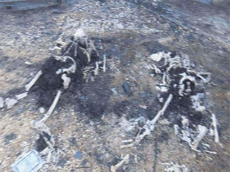 Masacre estilo Daesh en una instalación petrolera en Yemen