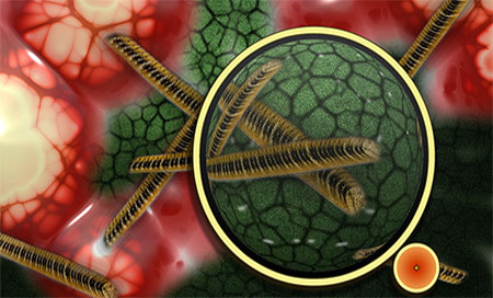 Hallan “organismos extraterrestres” en el parque nacional de Yellowstone