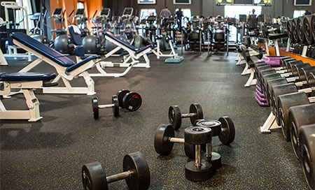 Descubre cómo aumentar la masa muscular con poco esfuerzo 