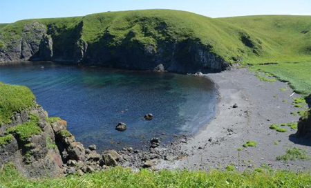 Peskov: Rusia y Japón seguirán buscando un compromiso sobre las Kuriles