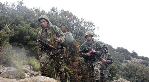 Argelia anuncia la muerte de catorce terroristas en el norte del país