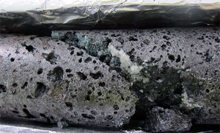 Una manera rápida para frenar el cambio climático