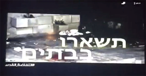 Quedaos en vuestras casas… la historia no ha terminado… aún hay más