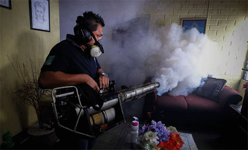 Alerta en México por el virus del zika