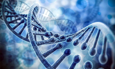 Desarrollan un termómetro programable de ADN