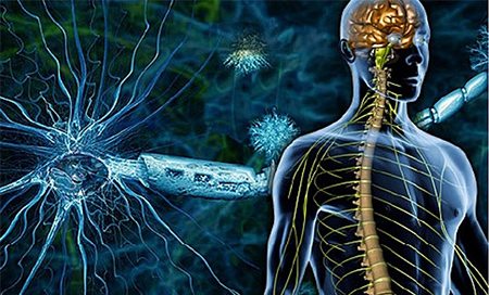 Una nueva vía para combatir la esclerosis múltiple