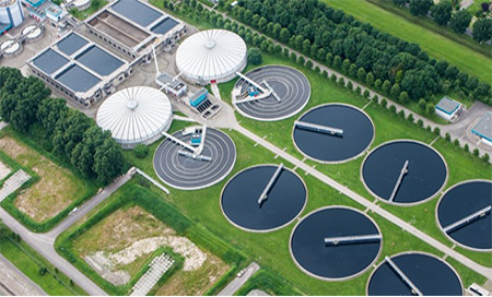 EEUU: Encuentran órganos en una planta de tratamiento de aguas residuales 