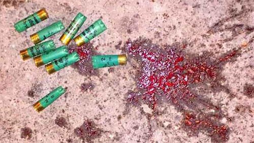 El régimen de Al Jalifa derrama la sangre de sus ciudadanos en Bahréin