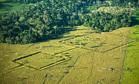 Descubren en la Amazonía 450 geoglifos de 2.000 años de antigüedad