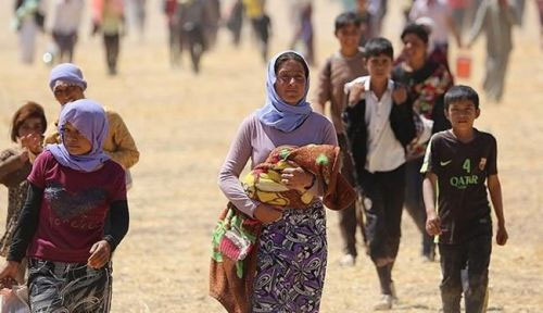 Rescatan a 36 yazidíes esclavizados durante tres años por Daesh en Iraq