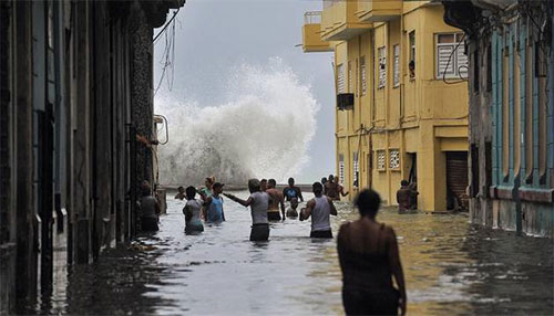 Trump declara el estado de desastre en Florida