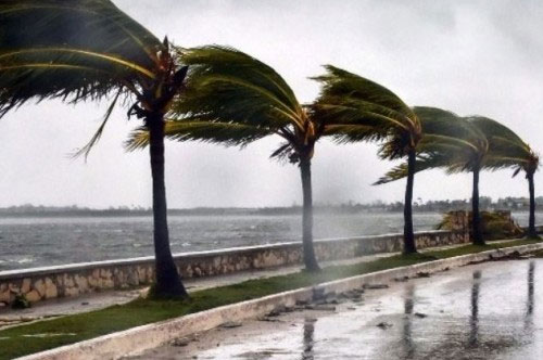 Trump declara el estado de desastre en Florida