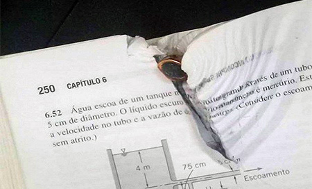 El libro que salvó la vida de un estudiante brasileño 
