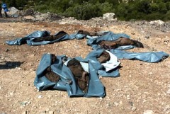 DIPLOMÁTICOS EXAMINAN UNA NUEVA FOSA COMÚN EN JISR EL CHOUGOUR