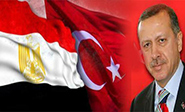 Egipto expulsa al embajador de Turquía