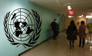 Pyongyang rechaza informe de la Comisión de Investigación de la ONU