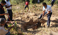Descubren en M&eacute;xico a más de 100 cadáveres en una fosa común