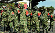 Polic&iacute;a de Colombia detuvo a 8 miembros de ELN