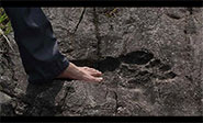 Encuentran huellas humanas gigantes en China 