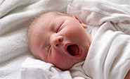 Revelan la relaci&oacute;n entre el bostezo y el tama&ntilde;o del cerebro