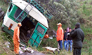 M&aacute;s de ocho muertos por accidente vial en Colombia